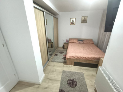 Case de vanzare Sura Mica imagine mica 23