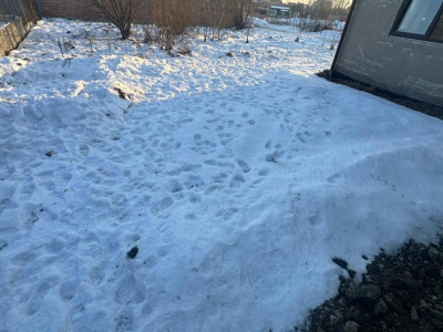 Case de vanzare Sibiu Veterani imagine mica 25