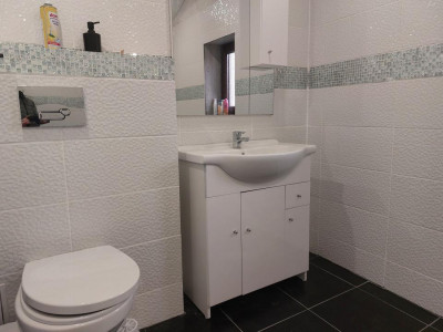 Case de vanzare Cisnadie imagine mica 26