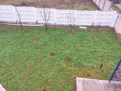 Case de vanzare Cisnadie imagine mica 33