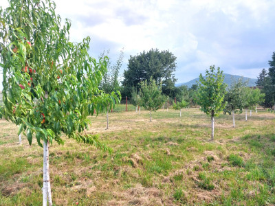 Case de vanzare Sacel imagine mica 2