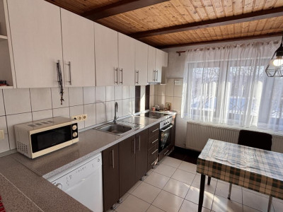 Case de vanzare Sura Mare imagine mica 6