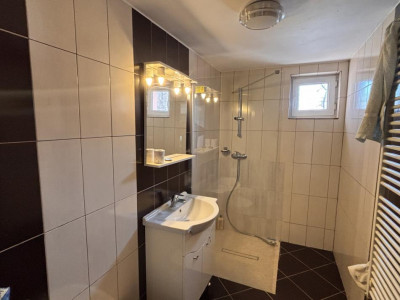 Case de vanzare Sura Mare imagine mica 19