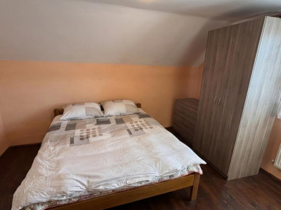 Case de vanzare Sura Mare imagine mica 14