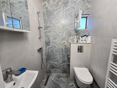 Case de vanzare Sibiu Terezian imagine mica 8