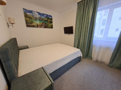 Apartamente de inchiriat Sibiu Doamna Stanca imagine mica 4