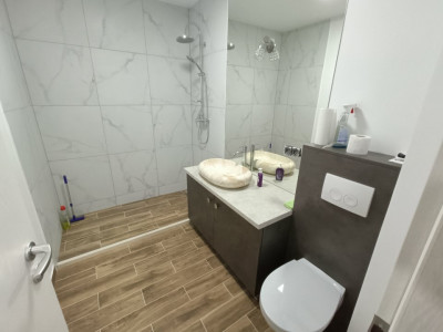 Spatii birouri de inchiriat Sibiu Turnisor imagine mica 3