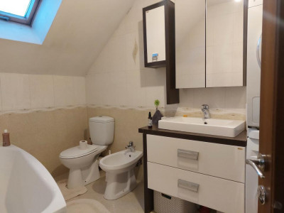 Case de vanzare Cisnadie imagine mica 21