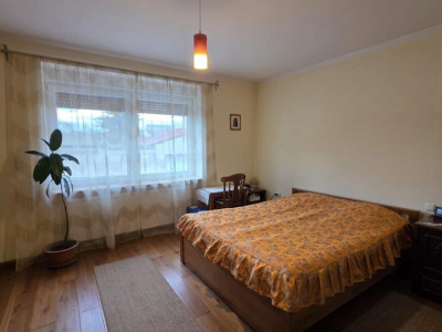 Case de vanzare Sebes imagine mica 7