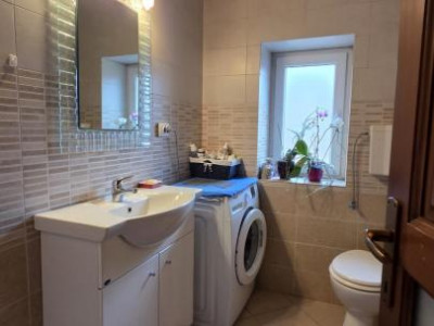 Case de vanzare Sebes imagine mica 12