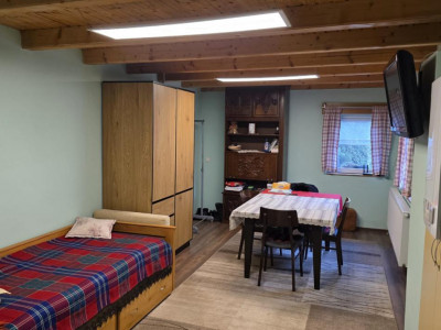 Case de vanzare Sebes imagine mica 17