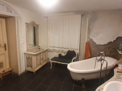 Case de vanzare Cisnadioara imagine mica 9