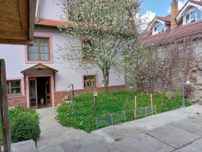 Case de vanzare Cisnadioara imagine mica 26