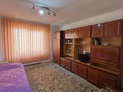 Case de vanzare Sura Mare imagine mica 2