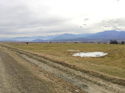 Terenuri de vanzare Saliste imagine mica 3