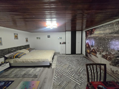 Case de vanzare Vurpar imagine mica 4