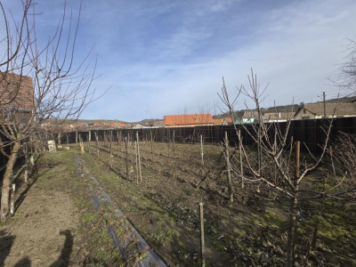 Case de vanzare Vurpar imagine mica 8