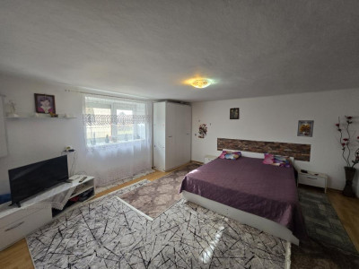 Case de vanzare Vurpar imagine mica 14