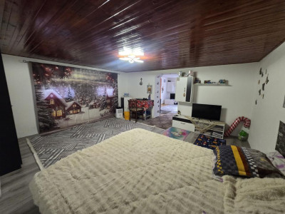 Case de vanzare Vurpar imagine mica 15