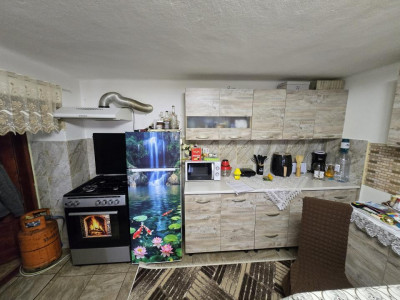 Case de vanzare Vurpar imagine mica 16