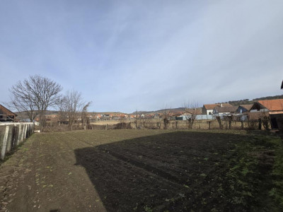 Case de vanzare Vurpar imagine mica 21