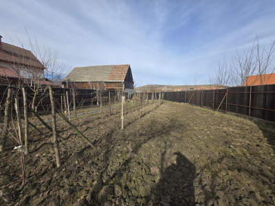 Case de vanzare Vurpar imagine mica 23