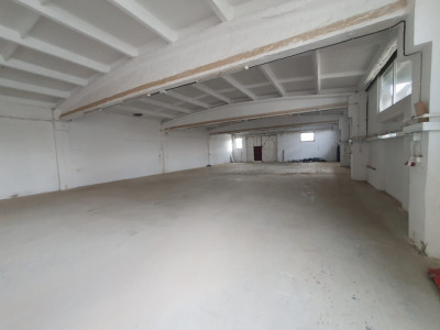 Hala industriala 300 mp pretabila pentru depozitare sau productie