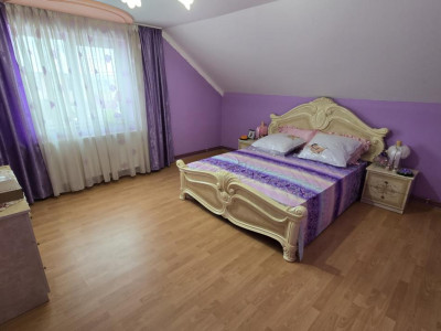 Case de vanzare Daia imagine mica 14