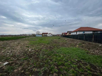 Teren intravilan de vanzare 948 mp cu vedere la padure