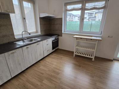 Case de inchiriat Sibiu Tilisca imagine mica 2