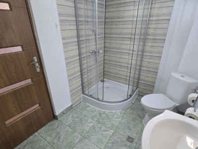 Case de inchiriat Sibiu Tilisca imagine mica 9