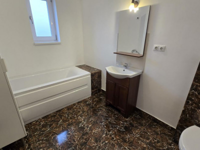 Case de inchiriat Sibiu Tilisca imagine mica 14