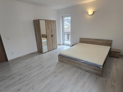 Case de inchiriat Sibiu Tilisca imagine mica 17