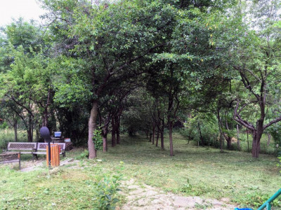 Case de vanzare Rasinari imagine mica 2