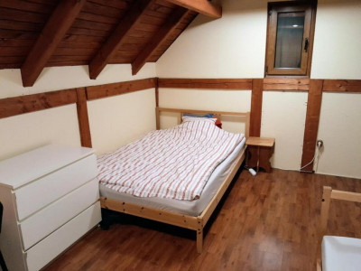 Case de vanzare Rasinari imagine mica 5