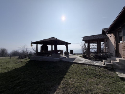 Case de vanzare Calimanesti imagine mica 3