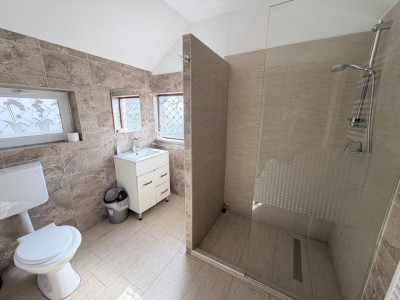 Case de vanzare Calimanesti imagine mica 9