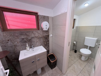 Case de vanzare Calimanesti imagine mica 10