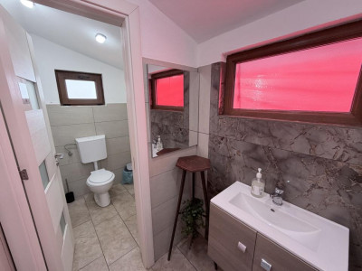 Case de vanzare Calimanesti imagine mica 17