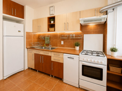 Apartamente de inchiriat Sibiu Mihai Viteazul imagine mica 9