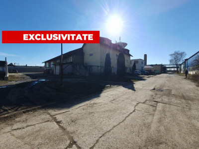 Spatii industriale de vanzare Fagaras imagine mica 1