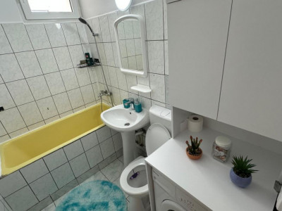 Apartamente de inchiriat Sibiu Terezian imagine mica 9