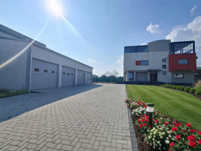 Case de vanzare Sura Mica imagine mica 2