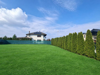 Case de vanzare Sura Mica imagine mica 4