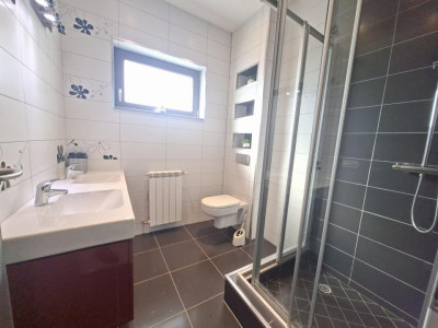 Case de vanzare Sura Mica imagine mica 18