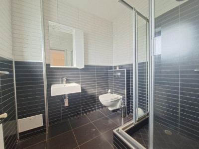 Case de vanzare Sura Mica imagine mica 20