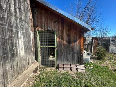 Case de vanzare Sibiu Turnisor imagine mica 23