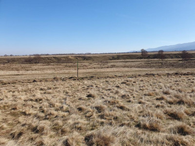 Terenuri de vanzare Gura Vaii imagine mica 1