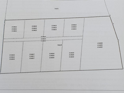 Terenuri de vanzare Gura Vaii imagine mica 1