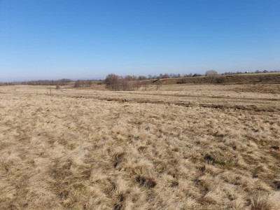 Teren extravilan de vanzare 600 mp cu vedere la Munte zona Gura Vaii